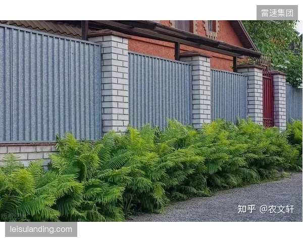 拆掉围墙”已成为2026年场馆运营的共识，其本质是公共体育服务职能从封闭的所有权思维向开放的使用权逻辑的根本性转变